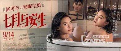 国产女同精品9,细腻情感与独特视角的青春共鸣